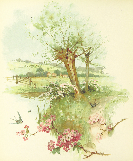 easter - when morning breaks