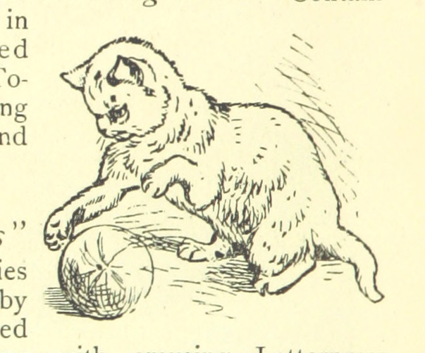 the land of temples - cat with ball