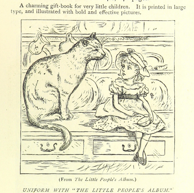 the land of temples - giant cat