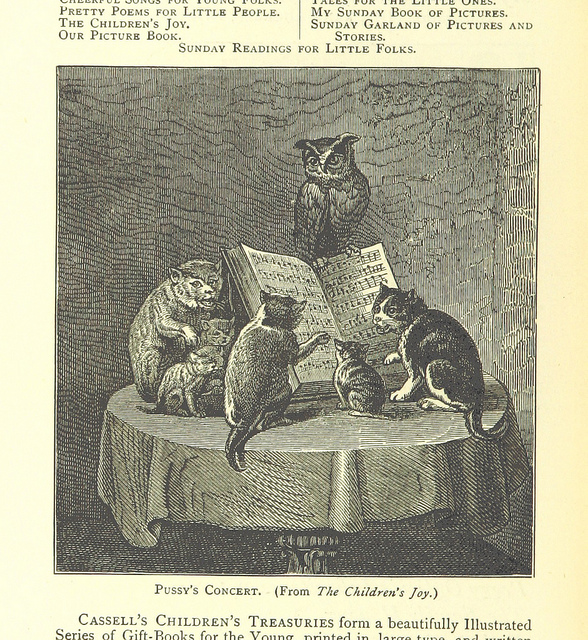 the land of temples pussy's concert