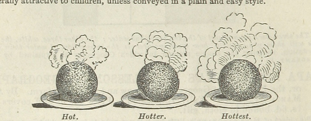 puddings - leaves from my note-book