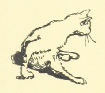 songs for little people 105b