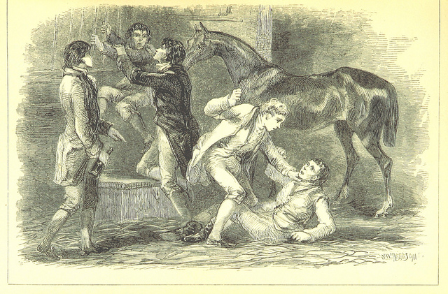 squanders - fighting