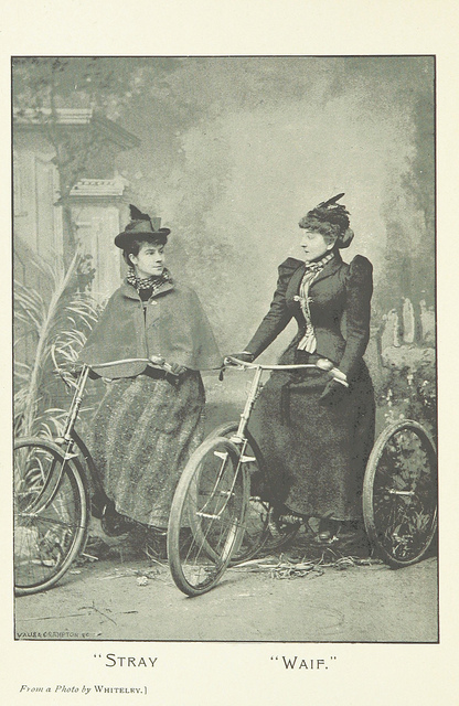 waif and stray, the adventures of two tricycles