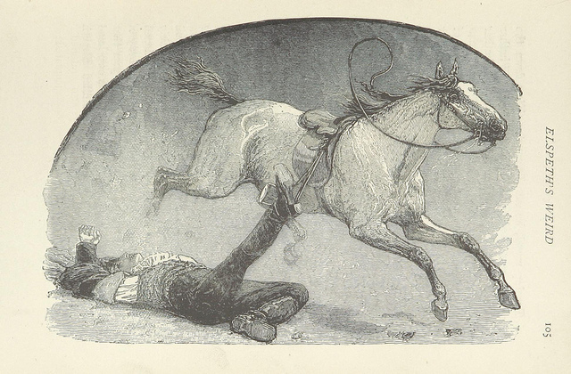 curly an actor's story