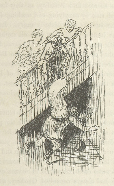 loose rein by wanderer