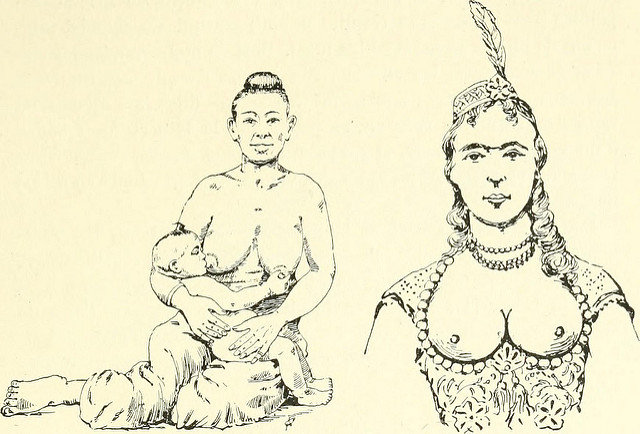 le seins dan le histoire