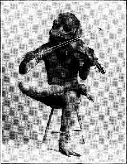 16061488633_a01e447d88_z