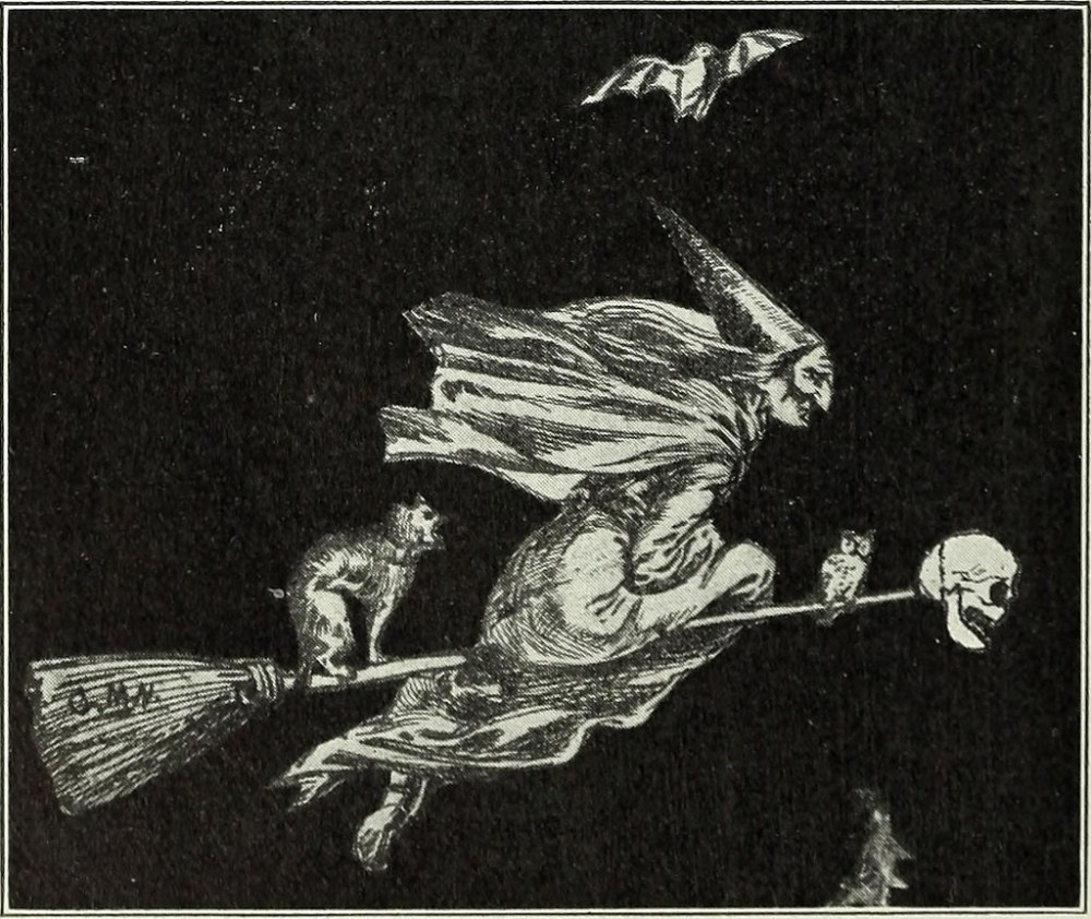 wisconsin medical recorder.jpg