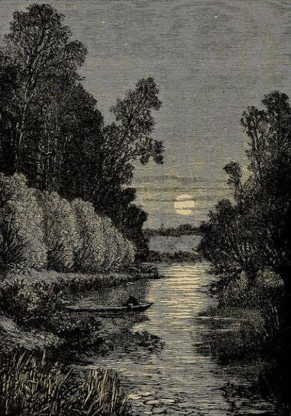 14780701461_00bd42a924_z