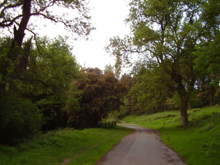 A gravel path winds through a grassy, lightly wooded area, and disappears round a corner. The lighting suggests late afternoon.